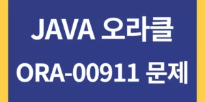 ORA-00911문제