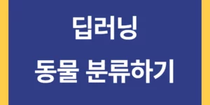 딥러닝 동물 사진 분류하기