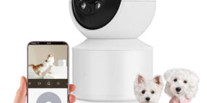 image 20260206 011903