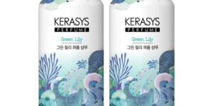 image 20260224 012211