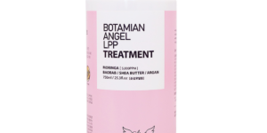 image 20260228 011538