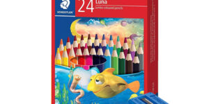 image 20260301 013120