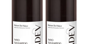 image 20260311 011727